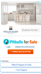 Mobile Screenshot of pitbullsforsale.net